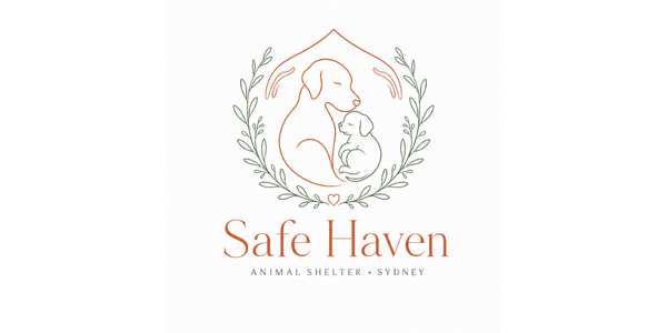 Safe Haven